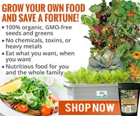 grow_your_own_food